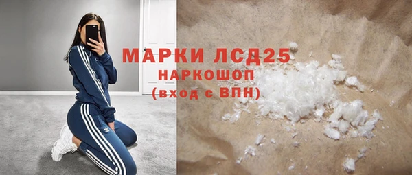 индика Вязьма