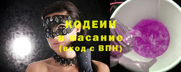 индика Вязьма