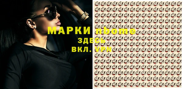 прущие крисы Горняк