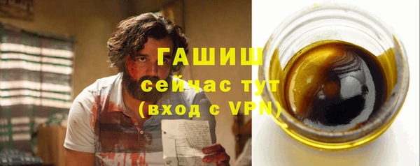 индика Вязьма