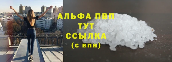 индика Вязьма