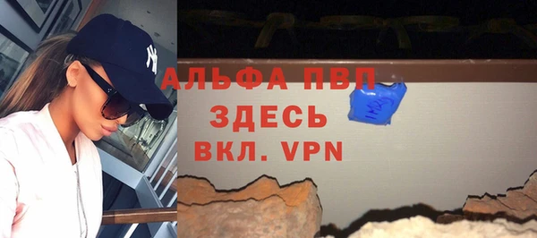 прущие крисы Горняк