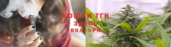 прущие крисы Горняк