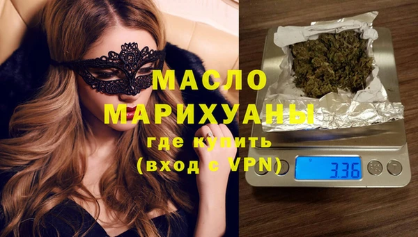 индика Вязьма