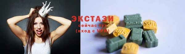 индика Вязьма
