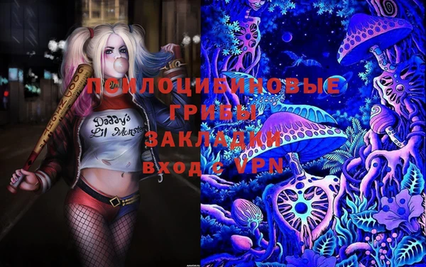крисы Вяземский