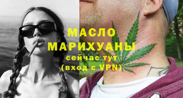 индика Вязьма