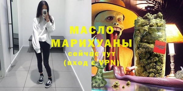 индика Вязьма