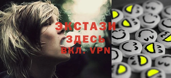 индика Вязьма