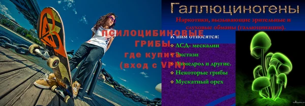 гидра Горно-Алтайск