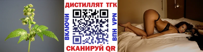 купить наркотик Ефремов ссылка на мегу маркетплейс Дистиллят ТГК вейп