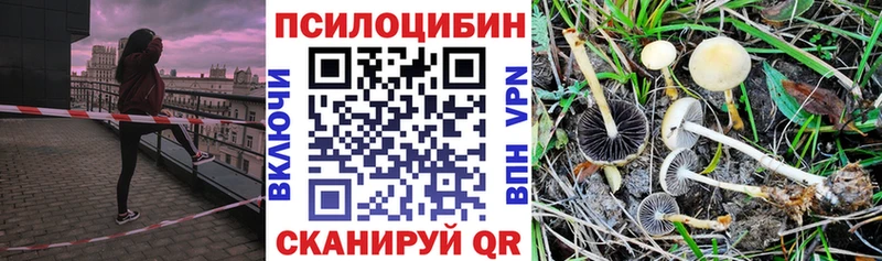 Псилоцибиновые грибы MAGIC MUSHROOMS  Ефремов 